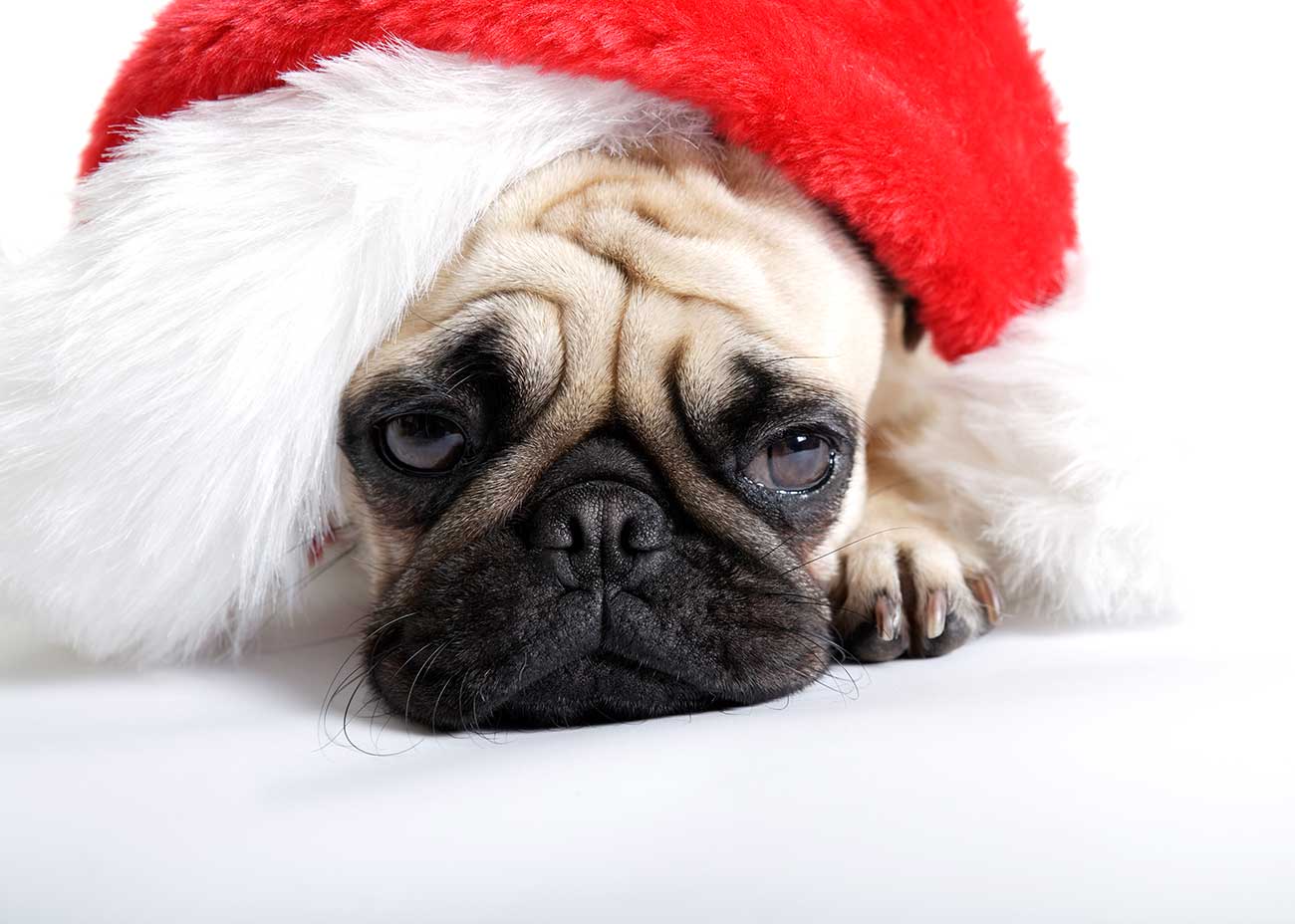 Overcoming the holiday blues